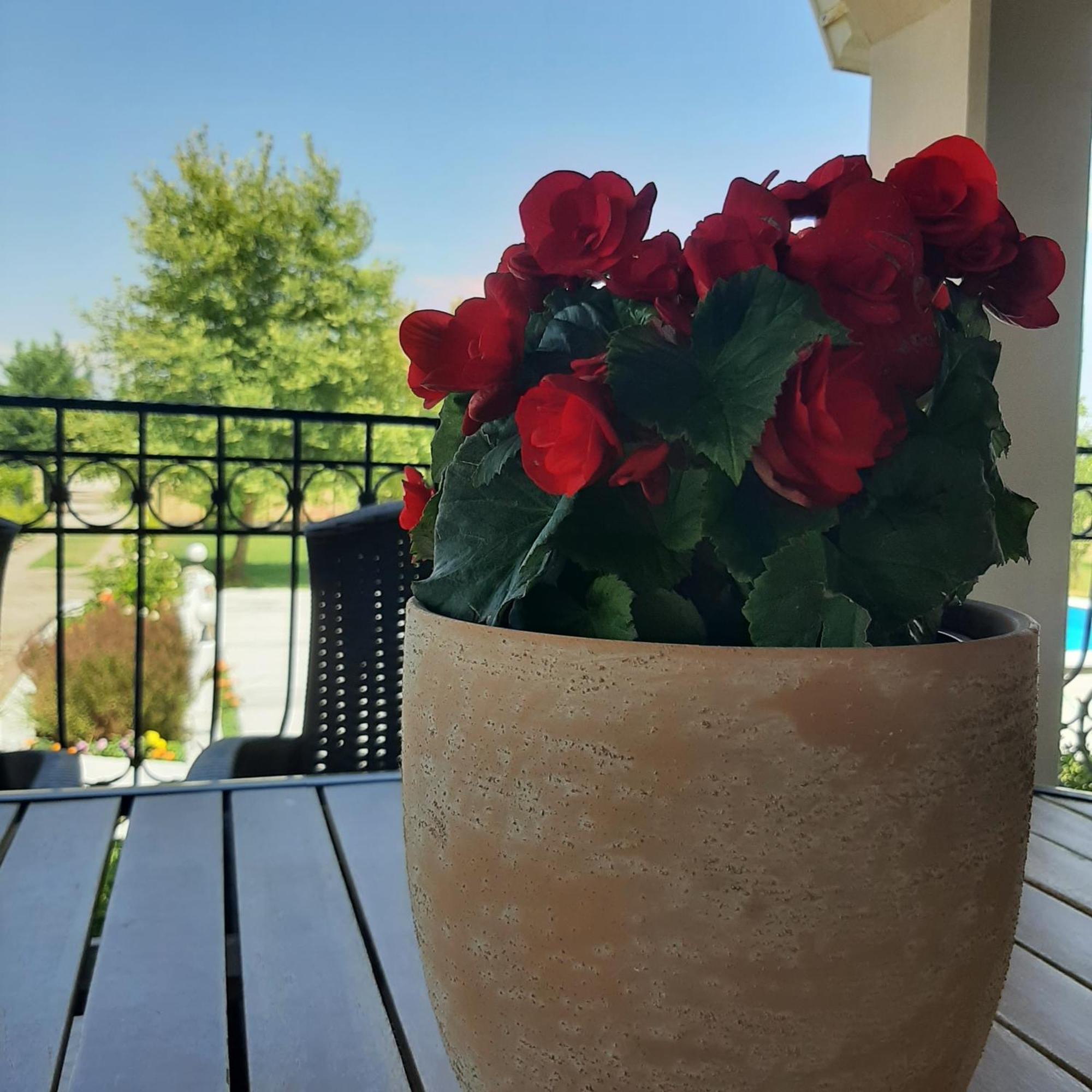Αρχοντικό Παπανικολάου Villa Ligaria  Eksteriør bilde