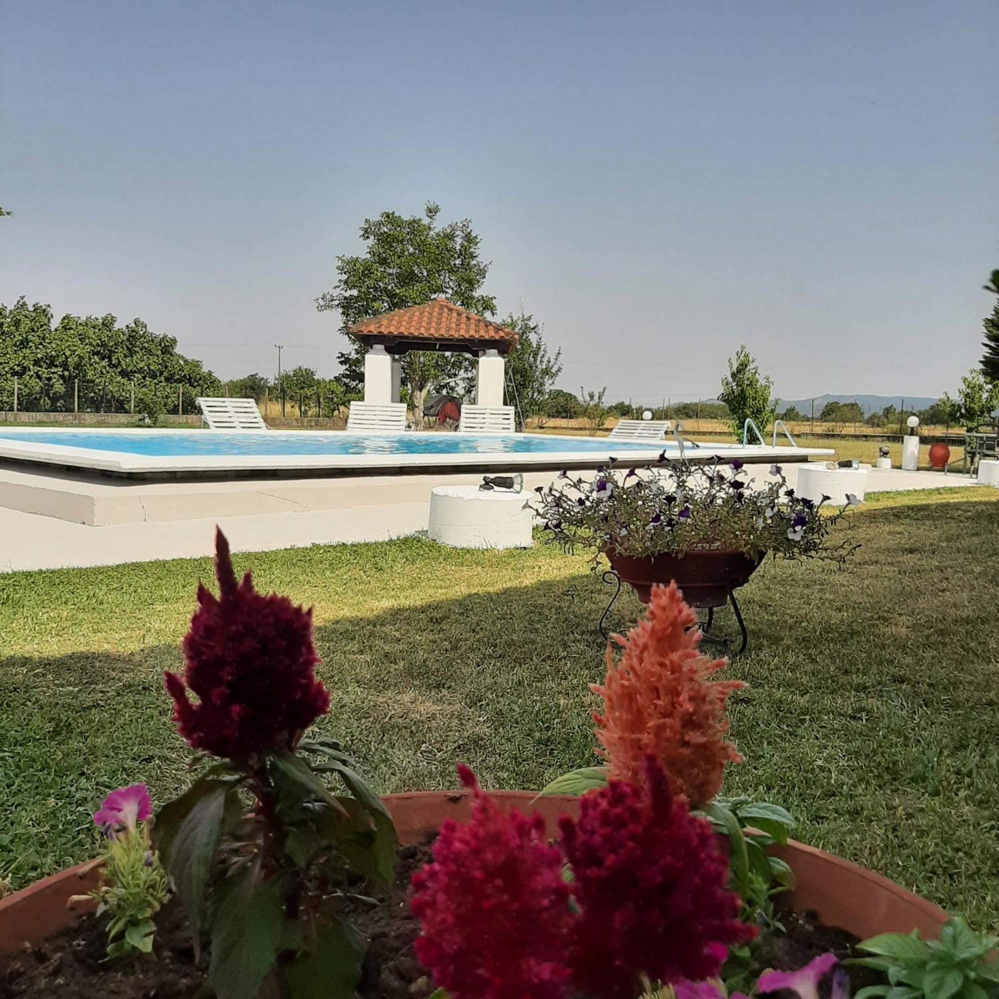 Αρχοντικό Παπανικολάου Villa Ligaria  Eksteriør bilde